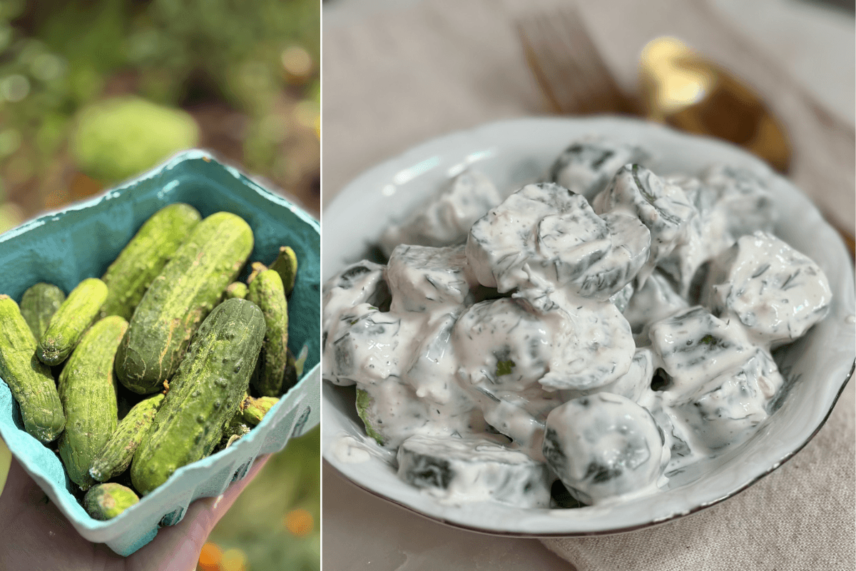 Creamy Dill Cucucmber Salad.png