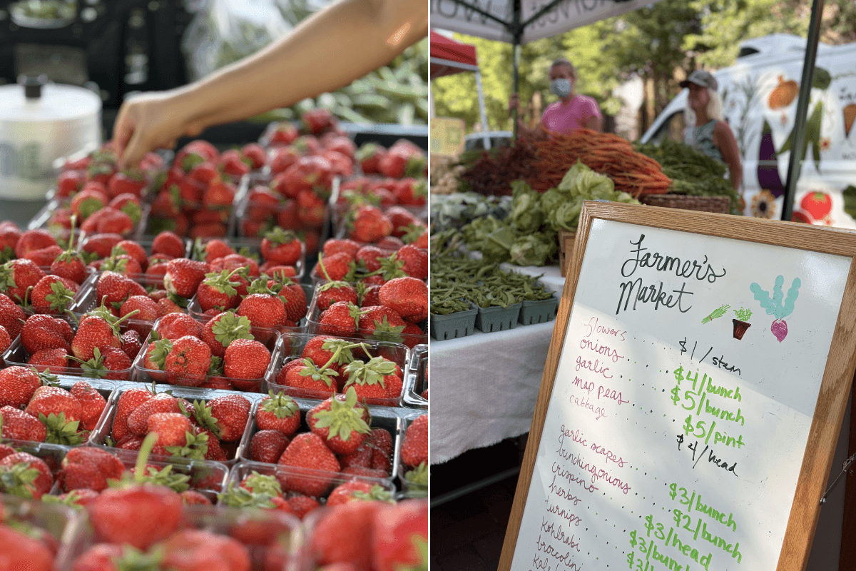 Find your farmers market near me you.png