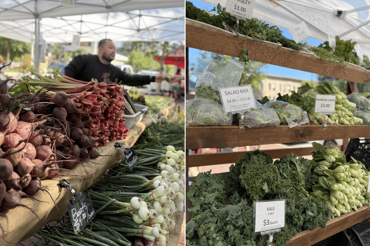 Thriving farms supports farmers markets.png